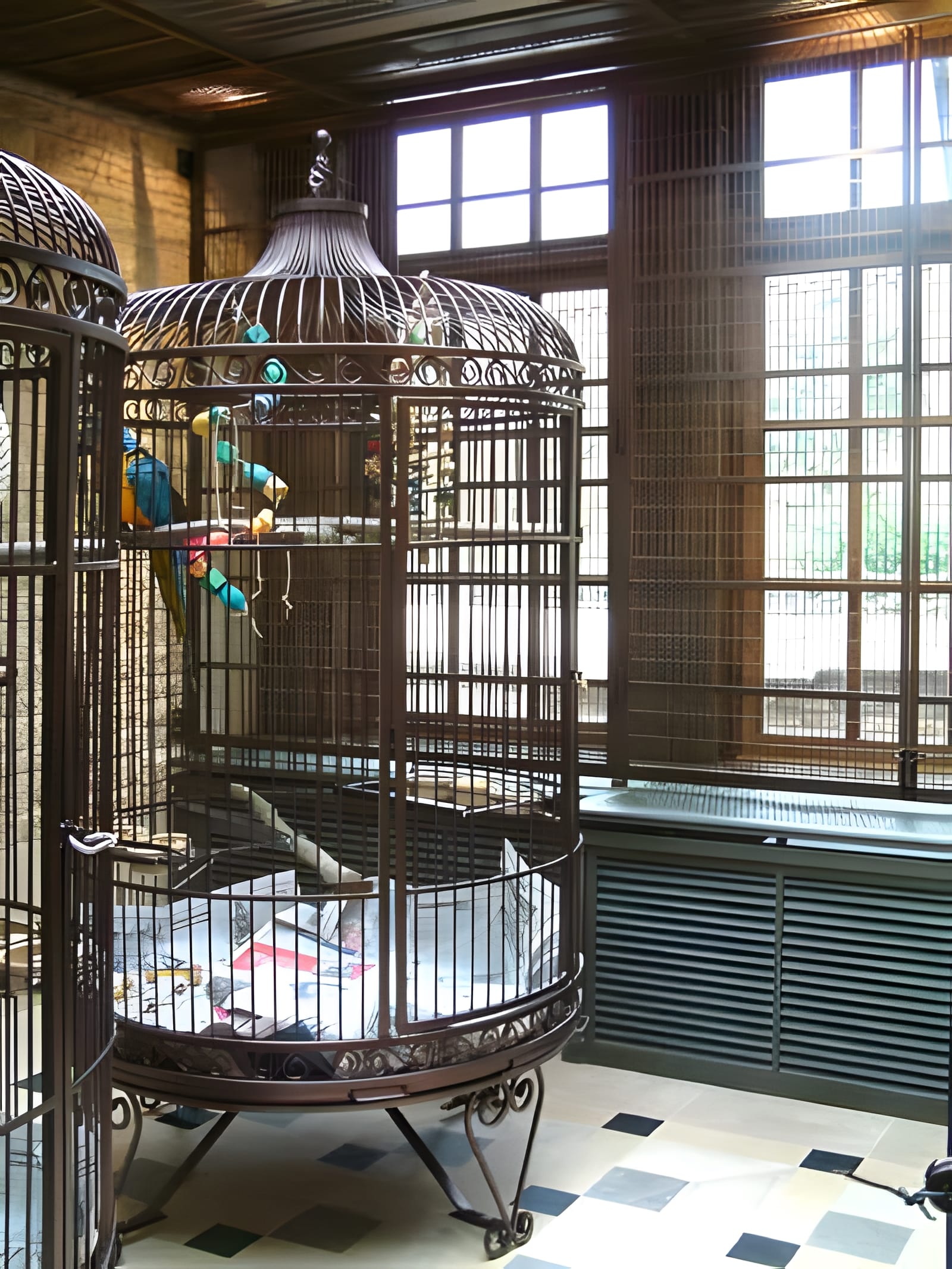Birds Cage Birds Cage